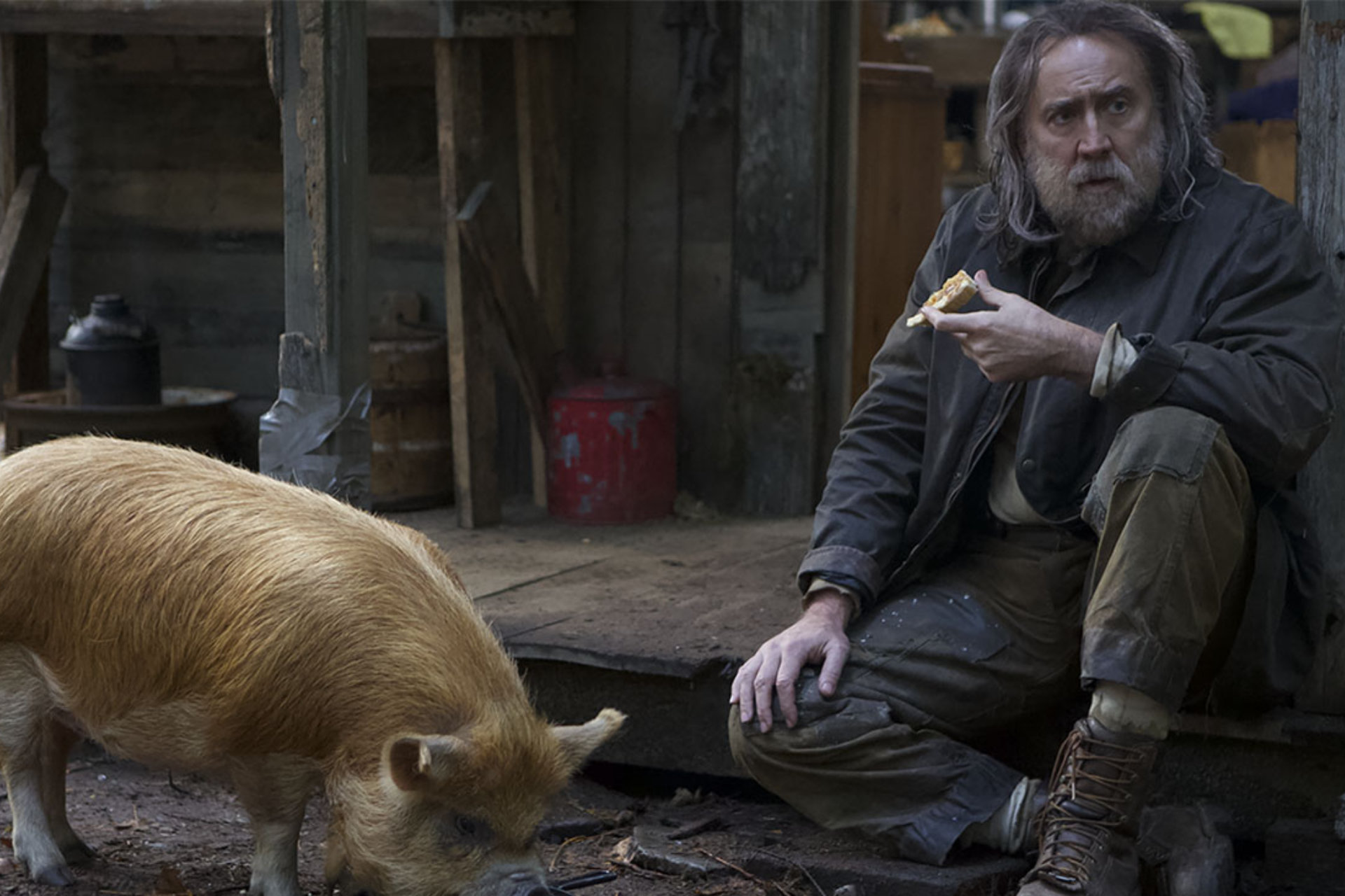 Pig' Review: A truly brilliant foodie movie