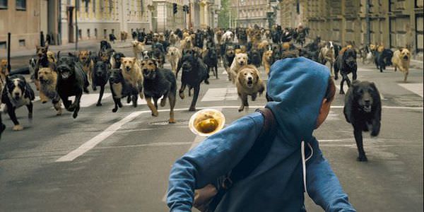 影評】《忠犬追殺令》White God - 雀雀看電影