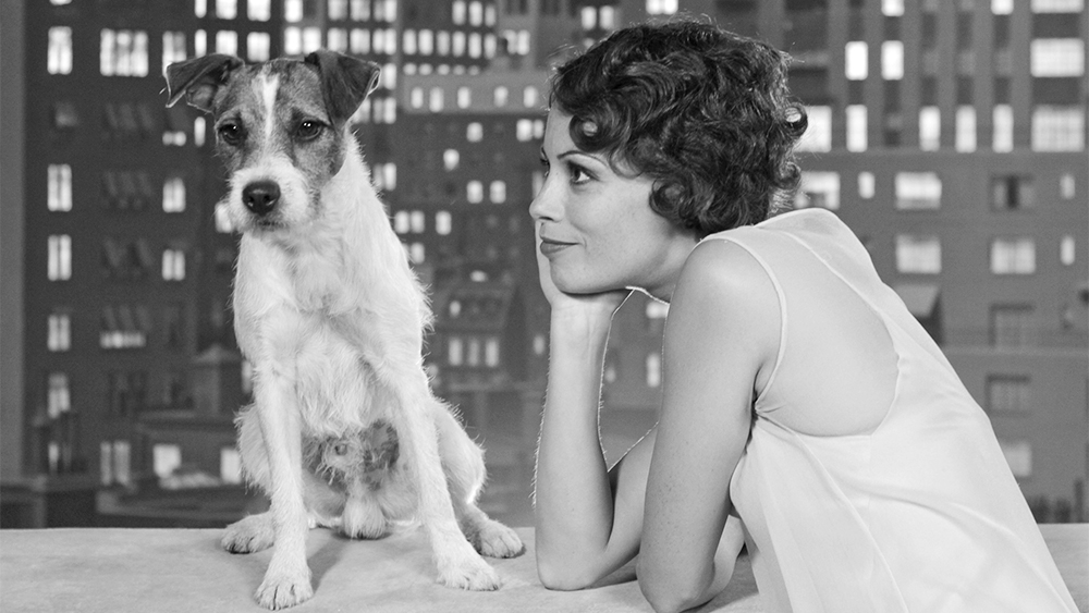 Uggie the Dog Dead: 'The Artist' Canine Was 13